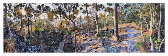 Mt sugarloaf afternoon walk