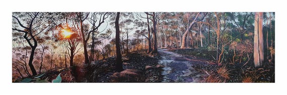 Australian Landscape Newcastle Mt Sugar loaf walking track 2nd edition
