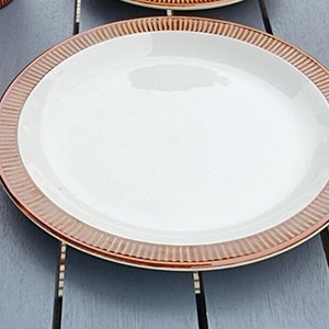 Puede incluir: Un plato de cena de cerámica blanca con un borde marrón. El borde tiene un patrón decorativo de líneas en relieve.