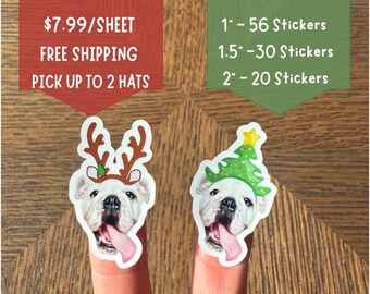Christmas Custom Face Sticker Sheet, Party Favors, Custom Sticker, 21, 30 50, 60 Birthday, Holidays, Gift, Face, Personalized, Waterproof