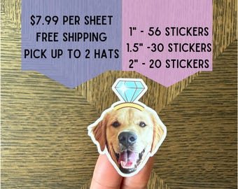 Custom Face Sticker Sheet, Waterproof, Party Favors, Birthday, Bachelorette, Wedding, Graduation