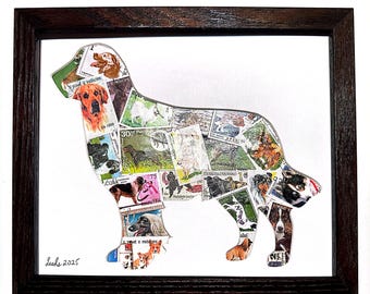 Golden Retriever (W)