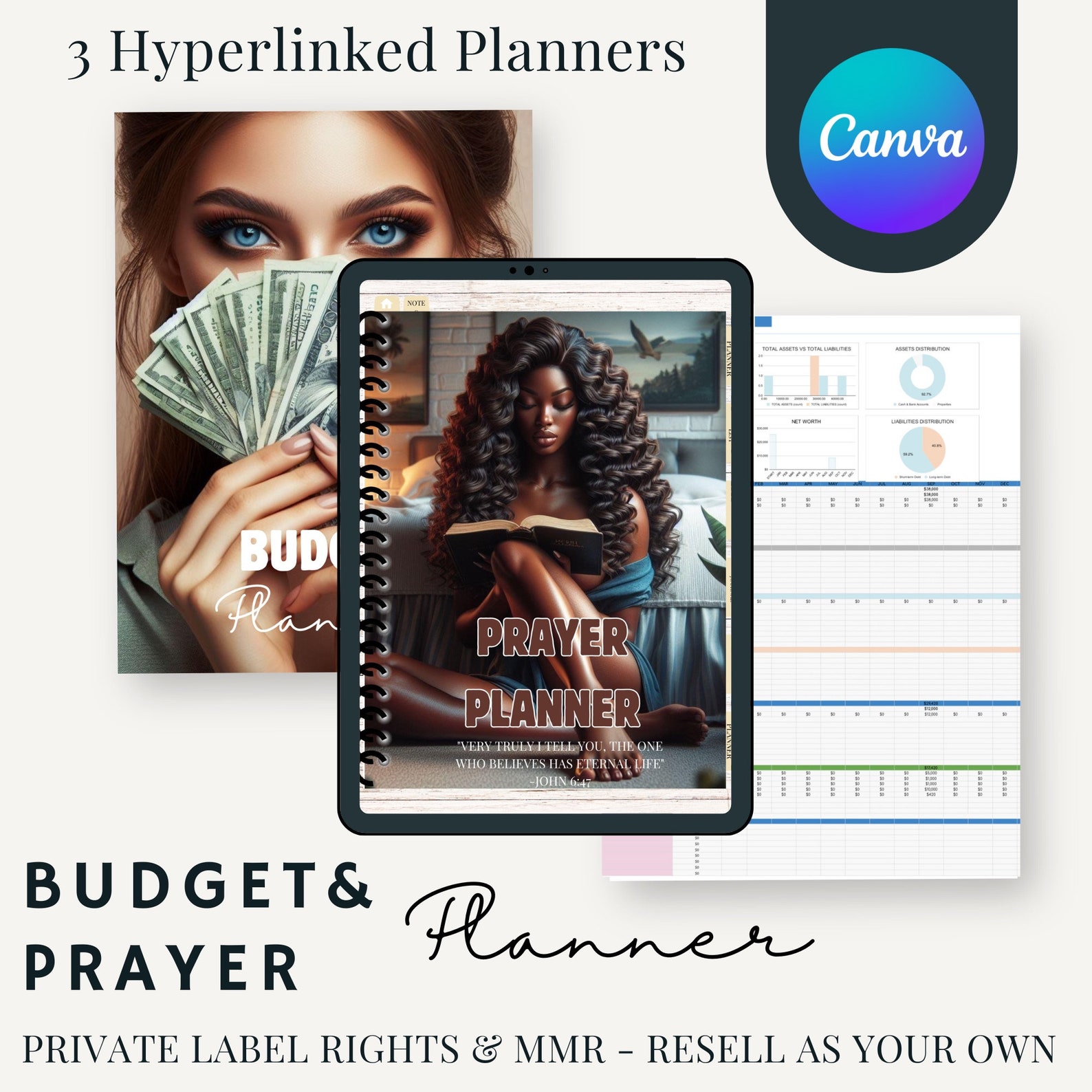 Ultimate PLR MRR Bundle Done for You Digital Products | Plr Mrr Digital ...