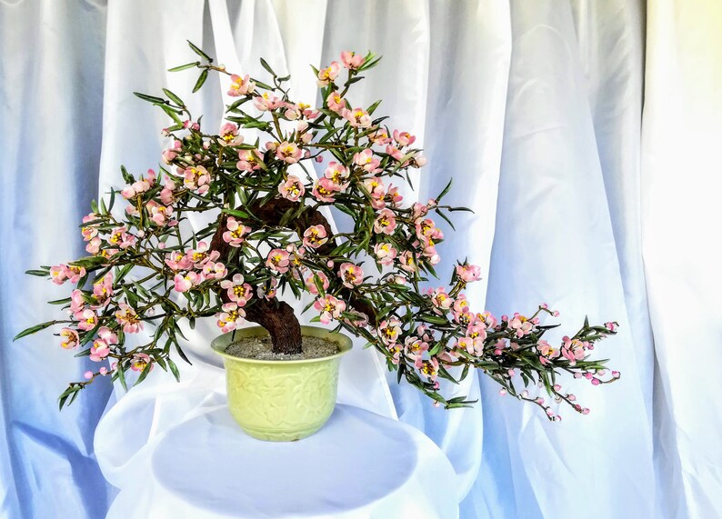 Chinese Glass Cherry Tree Bonsai Flowering Flower Blossoms Etsy