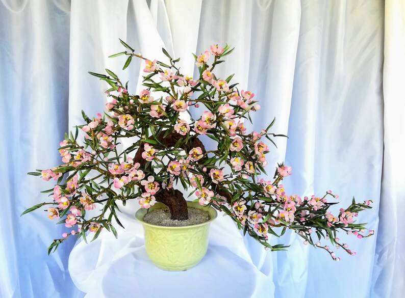 Chinese Glass Cherry Tree Bonsai Flowering Flower Blossoms Etsy