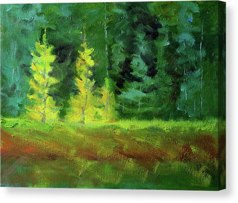 Forest Landscape Oil Painting Original Larch Trees
