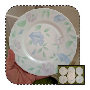May include: White ceramic plate with a floral design featuring blue and pink flowers and green leaves. The plate has a scalloped edge and is held in a hand. A smaller image shows a set of similar plates.