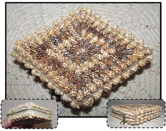 Vintage Natural Seashell & Brass Trinket Box Pillbox, India, keepsake ring box, shell