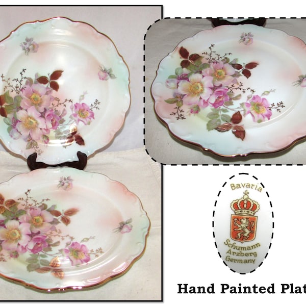 2 - Vintage Schumann Arzberg Bavaria Germany Porcelain Plates with Pink Roses, Trimmed in Gold