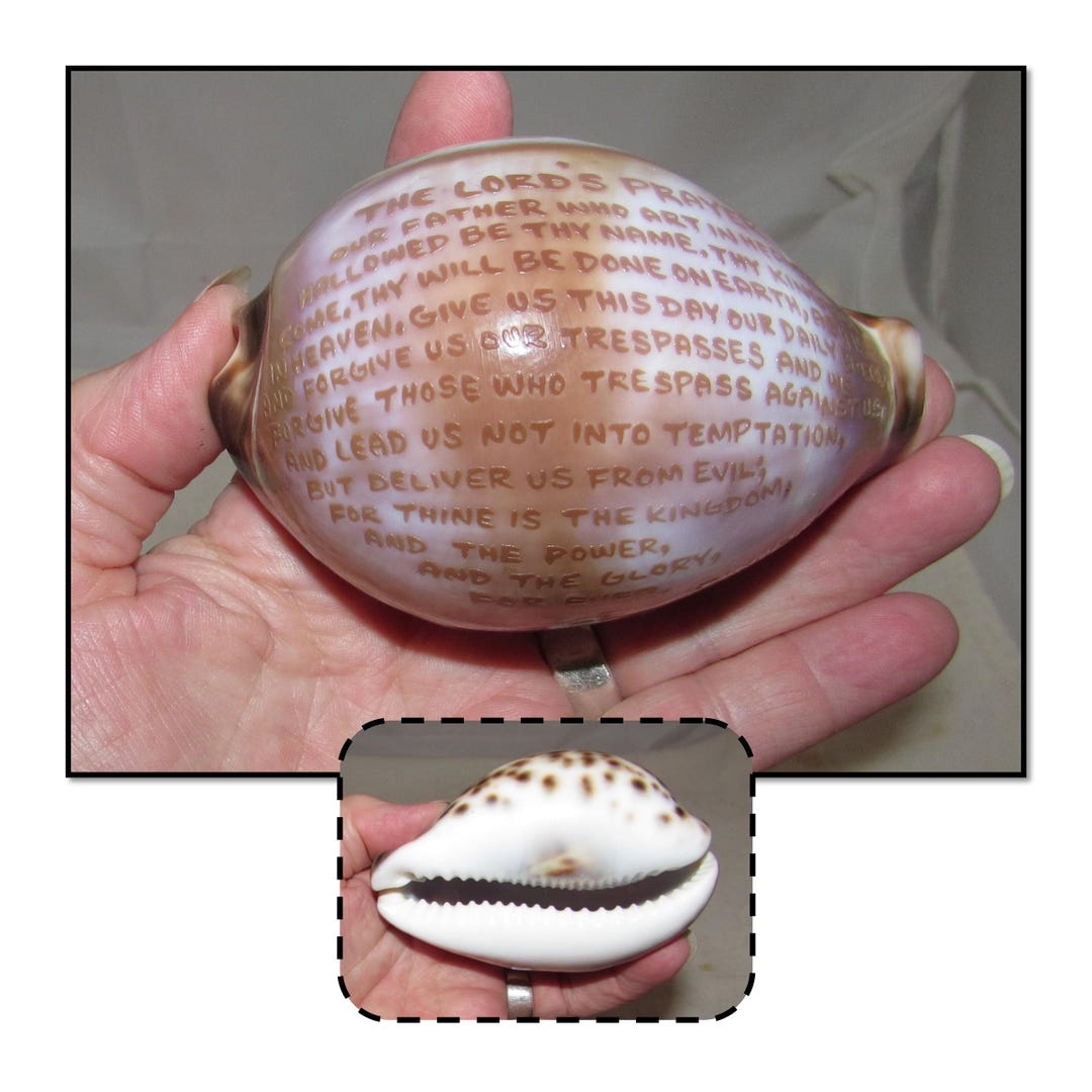 Vintage Souvenir Carved Spotted Cowrie Shell W/ the Lords Prayer - Etsy