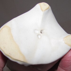May include: White ceramic planter with a unique, asymmetrical shape. The planter has three drainage holes in the bottom.