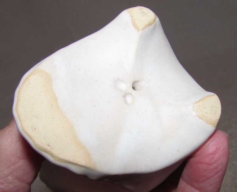 May include: White ceramic planter with a unique, asymmetrical shape. The planter has three drainage holes in the bottom.