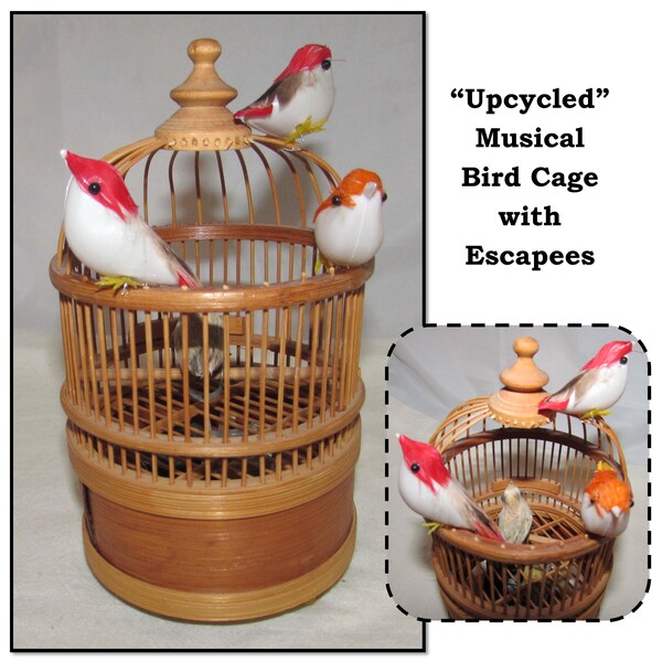 Bird Sound Box - Etsy