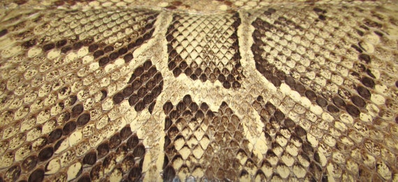 Vintage Natural Rattlesnake Snake Skin Leather Cl… - image 3