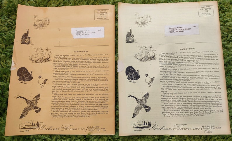 6 - Vintage Chickens & Ducks Catalogues and Flyers, Raising and Buying ...