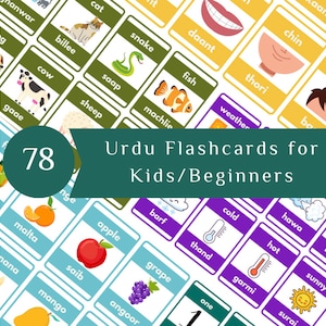 Tarjetas didácticas de urdu para niños, Aprende urdu, Inglés a urdu, Primeros pasos para aprender urdu, Urdu para principiantes, Conceptos básicos de urdu, Lecciones divertidas de urdu, Digital