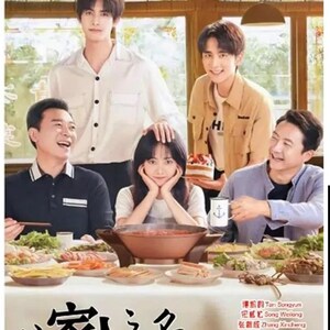 DVD Chinese Drama Go Ahead 以家人之名 (2020) (VOL.1 - 40 End) English