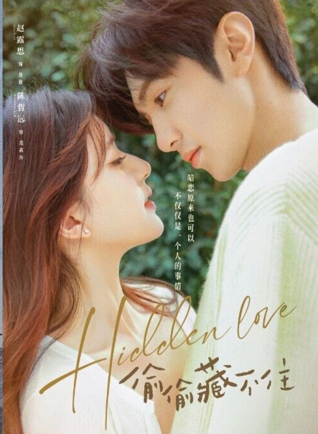 DVD Chinese Drama Hidden Love 偷偷藏不住 Eps 1-25 END English