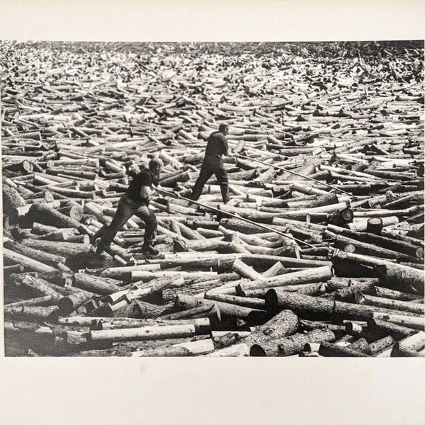 Vtg 1940s Art Photograph Logjam Lumber Jacks Logging by Tom Firth FPSA Timber Occupational