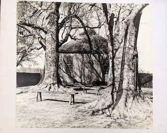 Vtg 1955 Fotografie „Weary Wanderers“ von Caryl Firth Historic House Trappe Maryland