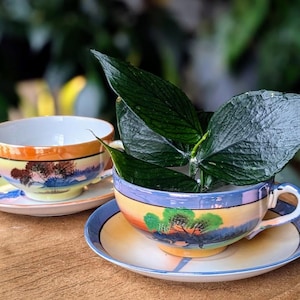 Jardinera reciclada con drenaje - Taza de té y platillo vintage para plantas de interior, hierbas y suculentas, juego de té de loza japonesa pintada a mano
