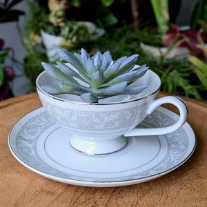 Tea cup planter - Etsy 日本