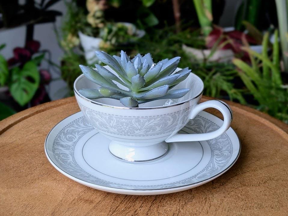 Tea cup planter - Etsy 日本