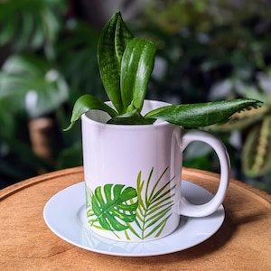 May include: A white ceramic mug with a tropical leaf design, featuring a small green plant growing inside. The mug is sitting on a white saucer on a wooden surface.