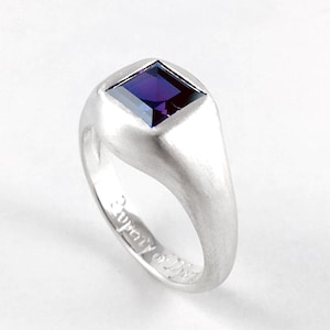 Djarn&#39;s Amethyst Ring from Everquest Video Game Nerd Engagement Wedding Ring Property of Djarn Geekery 270