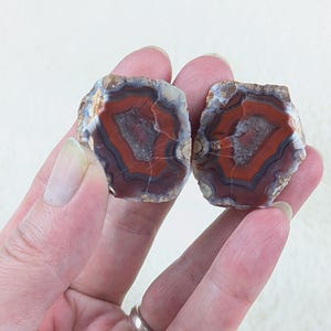 Beautiful Banded Mawali Agate with Red, Blue and Purple Tones, Druzy Quartz Center - Hand Cut & Polished Specimen