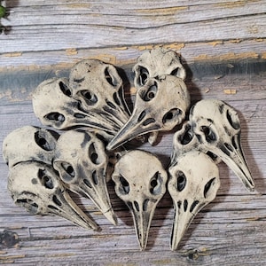 May include: A collection of ten ceramic bird skull pendants in a light beige colour with black detailing. The skulls are arranged in a circular pattern on a wooden surface.