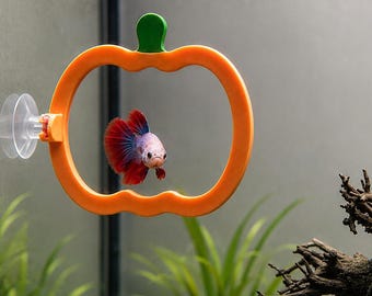 Pumpkin Betta Fish Training Ring, Aquarium Accessories, Enrichment Toy, Halloween Fish Tank Decor