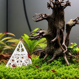 Peut inclure: Une structure triangulaire en treillis imprimée en 3D blanche est placée dans un aquarium d'eau douce. L'objet est entouré de plantes de tapis vert vif, de bois flotté brun foncé, de roche volcanique rouge et de petites crevettes cerises.