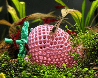 Strawberry Shaped Aquarium Decor, Shrimp Hide, Fish Cave, Moss Holder, Shrimp Tank Decor