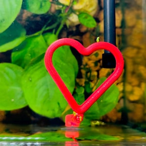 Floating Fish Feeding Ring with Suction Cup, Auto Adjustable with Water Level, Fish Food Circle for Aquariums, Multiple Shapes & Sizes