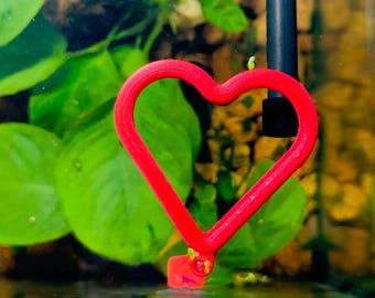 Floating Fish Feeding Ring with Suction Cup, Auto Adjustable with Water Level, Fish Food Circle for Aquariums, Multiple Shapes & Sizes