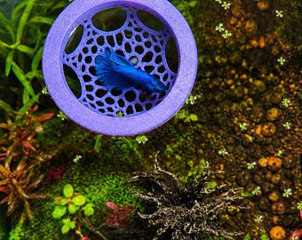 Floating Fish Hide, Betta Resting Bed, Aquarium Shelter, Custom Fish Cave, Floating Aquarium Decor