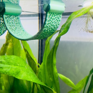 May include: A close-up of a green plastic plant holder for an aquarium. The holder is shaped like a ring and has a textured surface. The holder is partially submerged in water and is surrounded by green aquatic plants.