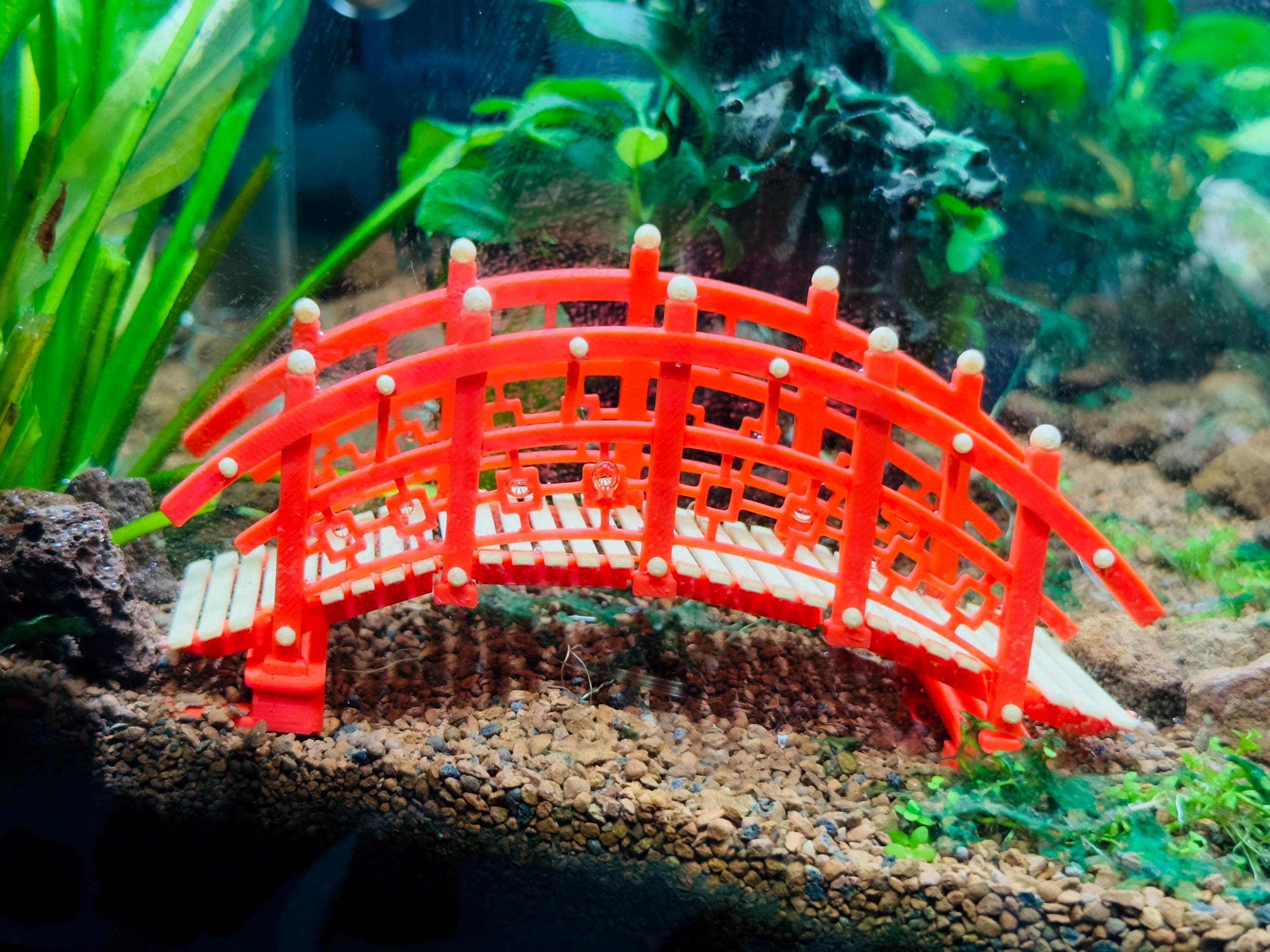 Aquarium Bridges for Decoration: Stunning Ideas to Transform Your Tank