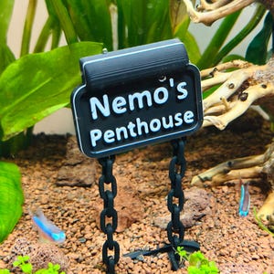 Placa flutuante personalizada para aquário, placa com nome de peixe, decoração criativa para aquário