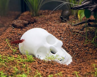Aquarium Full Skull Decoration, Shrimp & Fish Hide Cave, Fish Tank Ornament, Small Medium Large