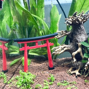 May include: A red and black miniature torii gate, a traditional Japanese shrine gate, is placed in a fish tank with green plants and a brown driftwood branch. The tank is filled with small red gravel.
