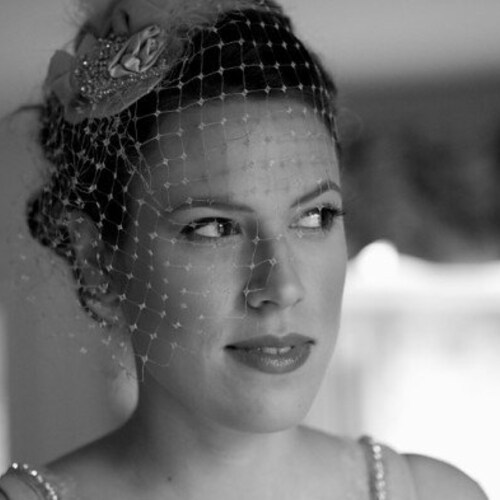 The Birdcage Veil Etsy