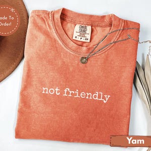 May include: A coral-colored t-shirt with the words "not friendly" in white lettering. A silver necklace with a pendant rests on the shirt. The shirt is folded and has a Comfort Colors tag.