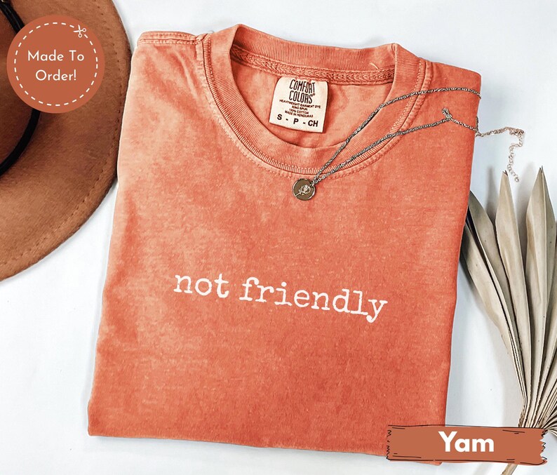 May include: A coral-colored t-shirt with the words "not friendly" in white lettering. A silver necklace with a pendant rests on the shirt. The shirt is folded and has a Comfort Colors tag.