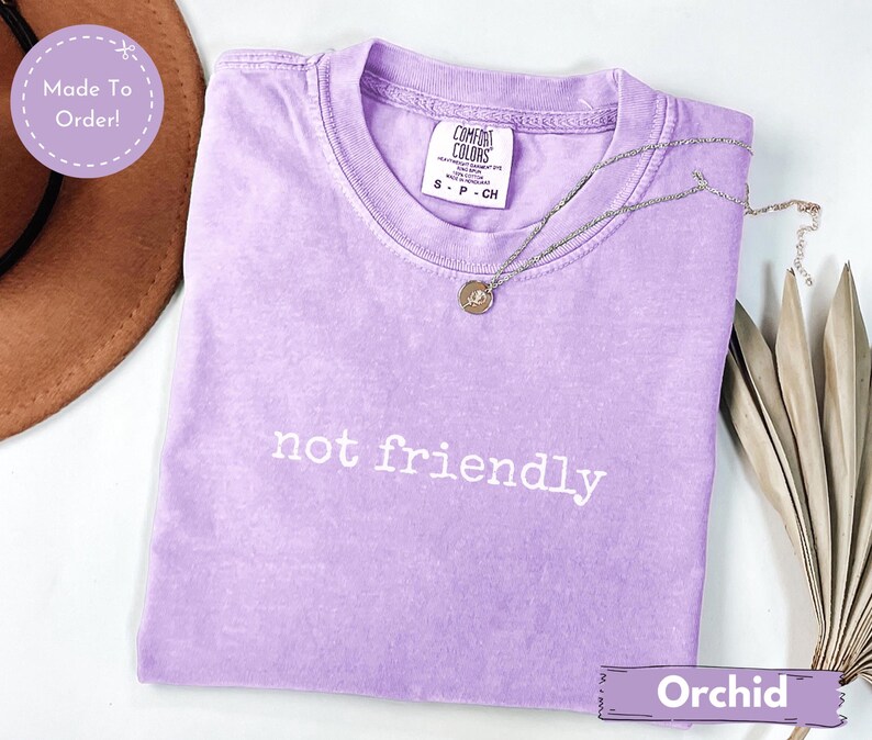 May include: A lavender Comfort Colors t-shirt with the words "not friendly" printed in white. A silver necklace with a small pendant rests on the shirt. The shirt is labeled "Orchid" and "Made to Order!"