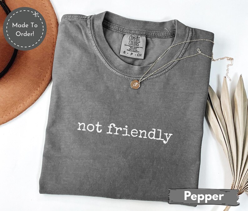 May include: A gray t-shirt with the words "not friendly" in white. The shirt has a crew neck and short sleeves. A silver necklace with a pendant is on the shirt. The shirt is labeled "Pepper".