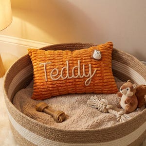 May include: An orange corduroy dog bed pillow with the name "Teddy" embroidered in white script. The bed includes a plush interior, a chew bone, a rope toy, and a stuffed squirrel. The bed is inside a woven basket.