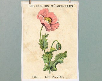 Strofinaccio da cucina o da mani in tela di sacco in stile retrò. Motivo botanico francese Les Fleurs Médicinales. Papavero rosa vintage. Stile Mid-Century Modern francese.