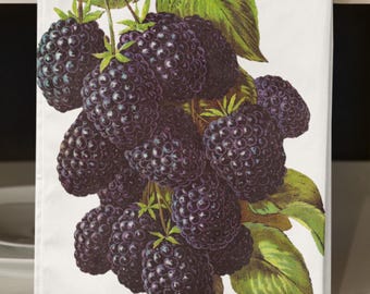 Churchill Blackberry Trellis Plate Chartwell Collection 9 7/8